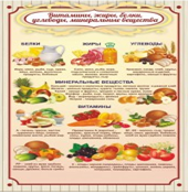 Стенд "Витамины, жиры, белки" - «globural.ru» - Ижевск