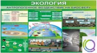 Стенд "Экология. Антропогенное воздействие на биосферу" - «globural.ru» - Ижевск
