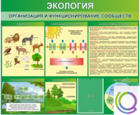 Стенд "Экология. Организация и функционирование сообществ" - «globural.ru» - Ижевск