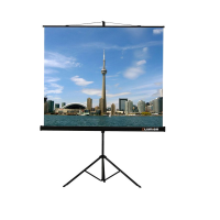 Проекционный экран на штативе Lumien Eco View (LEV-100105) 160x160 см - «globural.ru» - Ижевск