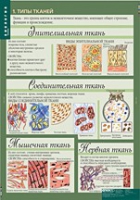Биология 8-9 класс. Человек. (комплект таблиц) - «globural.ru» - Ижевск