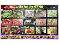 Комплект оборудования "Живой уголок" (растения) с тифлопереводом и сурдокомментариями - «globural.ru» - Ижевск