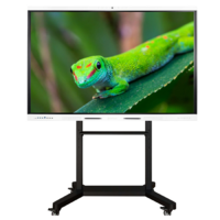 Интерактивный комплекс Geckotouch ​​​​​​​65RK - «globural.ru» - Ижевск