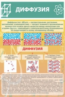 Стенд "Диффузия" - «globural.ru» - Ижевск