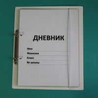 Дневник школьника (с полным набором карточек) - «globural.ru» - Ижевск