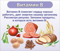 Стенд "Витамин В" - «globural.ru» - Ижевск