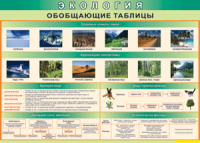 Обобщающие таблицы 1000*700 винил	 - «globural.ru» - Ижевск