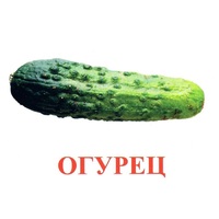 Карточки Домана "Овощи-Зелень-1" - «globural.ru» - Ижевск