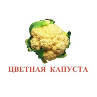Карточки Домана "Овощи-Зелень-2" - «globural.ru» - Ижевск