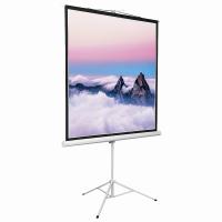 Экран на штативе DSKD-1103 - «globural.ru» - Ижевск