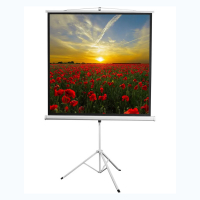 Экран на штативе DSKD-1105  - «globural.ru» - Ижевск