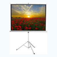 Экран на штативе DSKD-4303 - «globural.ru» - Ижевск