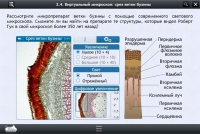 Интерактивные курсы. Биология 5 класс. Расширенный - «globural.ru» - Ижевск