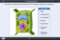 Интерактивные курсы. Биология 9 класс. Расширенный - «globural.ru» - Ижевск