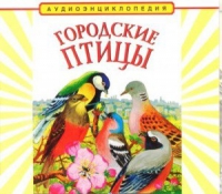 CD "Аудиоэнциклопедия. Городские птицы" - «globural.ru» - Ижевск