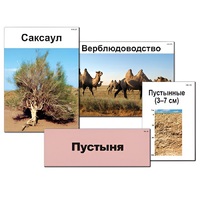 Модель-аппликация "Природные зоны России" - «globural.ru» - Ижевск
