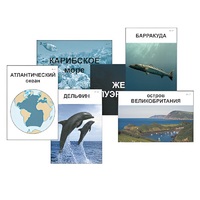 Модель-аппликация "Океаны. Знакомство" (ламинированная) - «globural.ru» - Ижевск