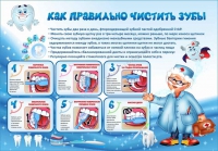 Стенд "Как правильно чистить зубы" - «globural.ru» - Ижевск
