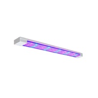 Фитолампа - «globural.ru» - Ижевск