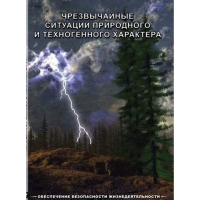 DVD Чрезвычайные ситуации природного и техногенного характера - «globural.ru» - Ижевск