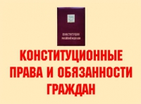 Комплект плакатов "Конституционные права и обязанности граждан" - «globural.ru» - Ижевск