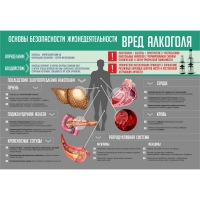 Стенд "Алкоголь" - «globural.ru» - Ижевск