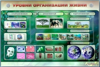 Электрифицированный стенд "Уровни организации жизни" - «globural.ru» - Ижевск
