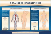 Электрифицированный стенд-тренажер "Остановка кровотечения" - «globural.ru» - Ижевск