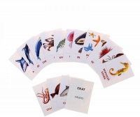 Раздаточные карточки "Мир морей и океанов" - «globural.ru» - Ижевск