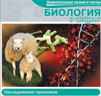 CD "Биология в школе. Наследование признаков" (электронные уроки и тесты) - «globural.ru» - Ижевск