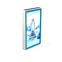 Видеопанель PROMO WALL 55 - «globural.ru» - Ижевск