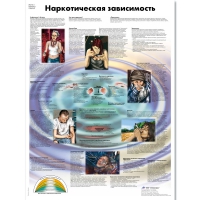 Плакат "Наркотическая зависимость", ламинированный, 50*67 см - «globural.ru» - Ижевск