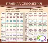 Стенд "Правила склонения" - «globural.ru» - Ижевск