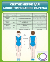 Стенд "Снятие мерок для конструирования фартука" - «globural.ru» - Ижевск