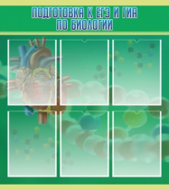 Стенд "Подготовка к ЕГЭ и ОГЭ по биологии" (вариант 1) - «globural.ru» - Ижевск