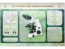 Электрифицированный стенд "Устройство микроскопа и правила работы c ним" - «globural.ru» - Ижевск