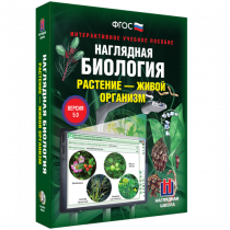 Наглядная биология. Растение - живой организм - «globural.ru» - Ижевск