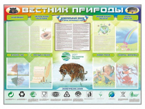Стенд-уголок "Вестник природы" (вариант 1) - «globural.ru» - Ижевск