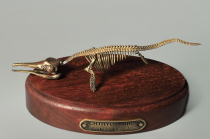Модель скелета ихтиозавра Ichthyosaurus - «globural.ru» - Ижевск