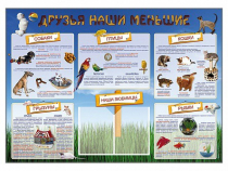 Стенд-уголок "Друзья наши меньшие" - «globural.ru» - Ижевск