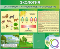 Стенд "Экология. Организация и функционирование сообществ" - «globural.ru» - Ижевск