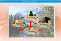 Интерактивные курсы. Биология 7 класс. Базовый - «globural.ru» - Ижевск