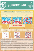 Стенд "Диффузия" - «globural.ru» - Ижевск