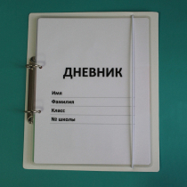 Дневник школьника (с полным набором карточек) - «globural.ru» - Ижевск