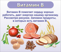 Стенд "Витамин В" - «globural.ru» - Ижевск