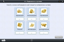 Интерактивные курсы. Биология 8 класс. Базовый  - «globural.ru» - Ижевск