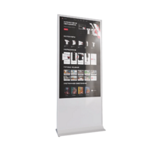 Интерактивный сенсорный киоск Nova 55" - «globural.ru» - Ижевск