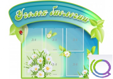 Стенд "Уголок биологии" - «globural.ru» - Ижевск