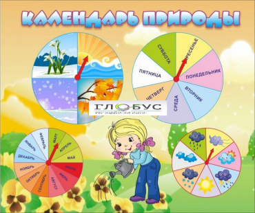 Стенд "Календарь природы" (вариант 1) - «globural.ru» - Ижевск