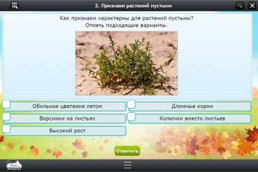 Интерактивные курсы. Окружающий мир 3 класс. Базовый - «globural.ru» - Ижевск